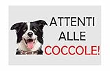 Social Crazy