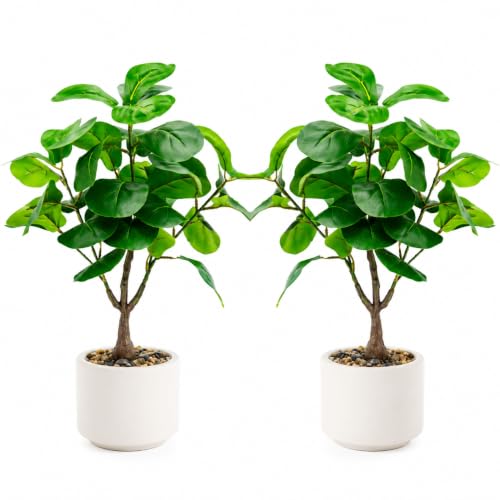 FLRLIVING Artificial Fiddle Leaf Fig Plants in Pots, 2 Pack