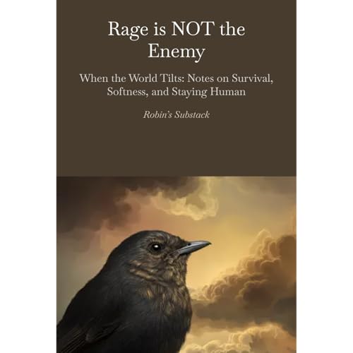 Page de couverture de Rage is NOT the Enemy