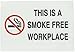 Brady 72355 Self Sticking Polyester No Smoking Sign, 7" X 10", Legend "This Is A Smoke Free Work Place (with Picto)"