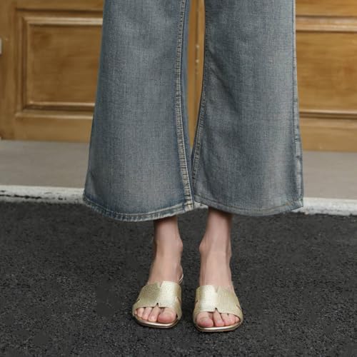 Image of Women's Chunky Open Toe Low Block Heels Kitten Dressy Heels for Women Low Heel Sandals for Women Summer Comfy Heels