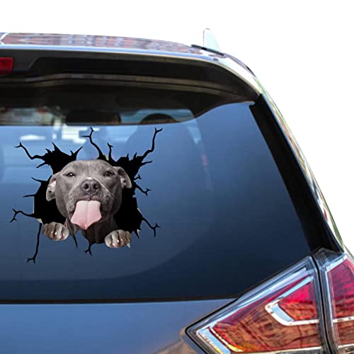 Pitbull Car Accessories Pitbull Sticker Fun Vynil Truck Sticers for Mens 3D Windows Atickers