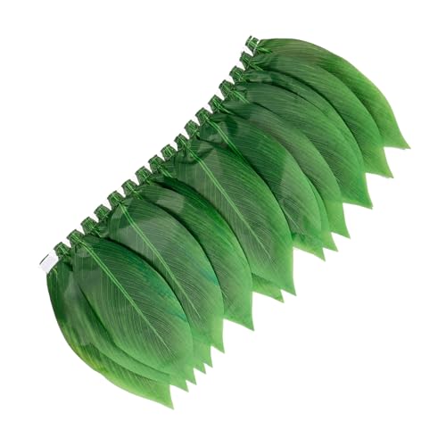 [HOMOCONO] qp  XJ[g ͑  XJ[g t lp ptH[}X hX p ߑ Xe[W ߑ nCA t   hX p