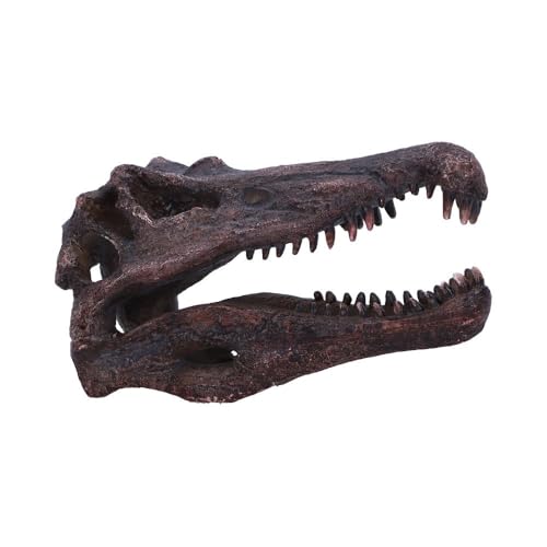 Nemesis Now Estatua de calavera de dinosaurio, regalos y decoración para entusiastas de la paleontología y coleccionistas, resina pintada a mano, fósil de dinosaurio - Spinosaurus