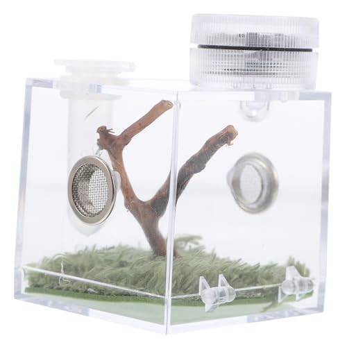 BESPORTBLE Caja De Cría De Araña Saltadora Hábitat De Caracol Accesorios para Acuario Terrario para Reptiles Transparente Humidificador Grande Ververium Carcasa De Araña Saltadora