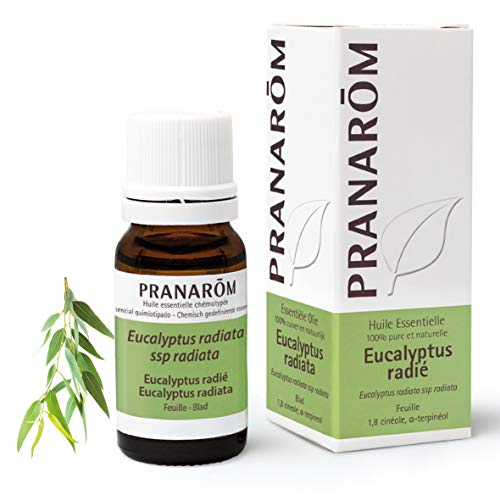 Pranarôm Aceite Esencial Eucalipto radiata, 100% Quimiotipado, eucalyptus radiata ssp radiata, hoja, respiración, defensas naturales, purificador, difusión atmosférica, 10 ml