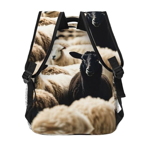 Mochila para laptop EdWal impermeable que soluciona tus viajes 4