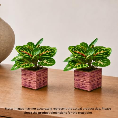 Image of DecoreBugs Artificial Real Touch Flower Plant with Pot (Pack of 2), 16 cm Height, Decorative Faux Floral Plant for Home, Office, Living Room, Bedroom, Table & Shelf Decor