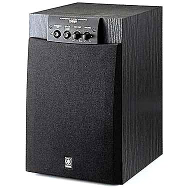 Yamaha yst-sw105 Sonido Natural Subwoofer con Amplificador de 100
