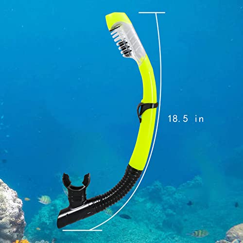 image for AQUA A DIVE SPORTS Dry Snorkel Easy Breath Diving Snorkel for Snorkeli