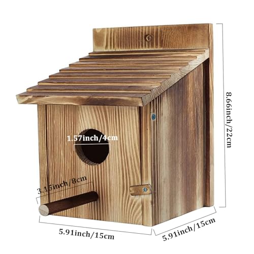 Bruits d'oiseaux muraux pour l'extérieur avec abri en bois à perchoir - 3