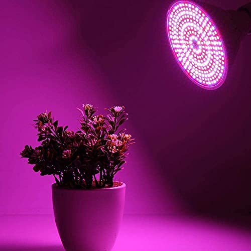 Bulbright 植物育成LEDライト E26口金 フルスペクトラム 100W相当 プラントライト 植物育成用ランプ 水耕栽培ライト 室内用ライト 省エネ 長寿命 ガーデニング 家庭菜園 園芸用品 (100W) の商品画像 4