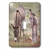  3dRose lsp_92835_1 South Dakota, Custer SP, Wild Burros, Donkeys – US32 Jwi0526 – Jamie And Judy Wild – Interrupteur à bascule unique Multicolore