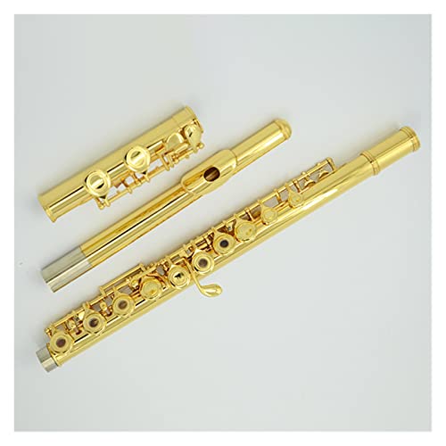 TSTS t[gy bL 16L[ Cg[ t[g I[vz[ƃN[Yhz[ fA[X LvjbP lpt[gy