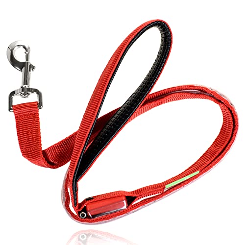 Illumiseen Led Light Up Dog Leash | Ultra High Visibility Up To 350 Yards | 3 Lighting Modes | Usb Rechargeable, No Batteries Needed | Padded Handle & Rotating Swivel Clasp To Prevent Leash Tangling #TOP5