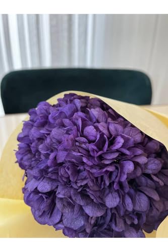 Hortensia morada preservada seca tallo único 50 cm miniatura 4