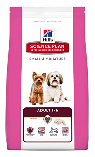 Science Plan Canine Adult Small & Miniature mangime Secco Gusto Pollo e Tacchino kg.1,5