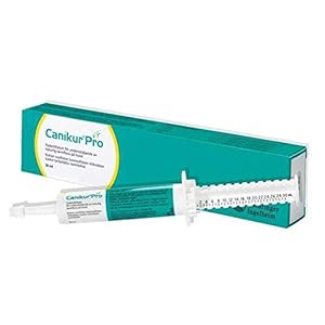 Canikur Pro Chien orale Seringue 30 ml