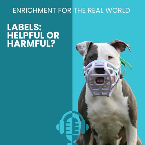 #151 - Labels: Helpful or Harmful?