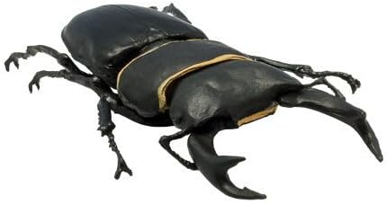 Amazon 昆虫ハンター15 カブトムシ クワガタ 3 オオクワガタ 単品 通販