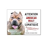 american bully bleu et blanc Produit artisanal fait main Plaque American Bully attention au chien lunatique panneau humour je monte la garde pancarte en aluminium