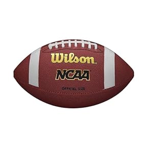 アントニオ・ブラウン直筆サイン入り2Lサイズ写真…アメリカンフットボール…… アントニオ・ブラウン直筆サイン入り2Lサイズ写真…アメリカン