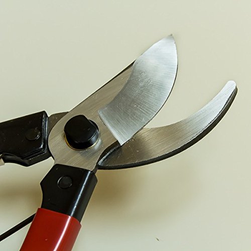 Amazon | 花隈川刈込鋏 赤柄180mm はさみ ハサミ 全鋼+ 家庭用剪定鋏