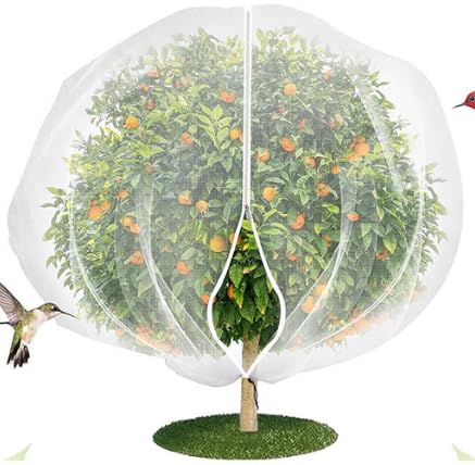 Agarte 2.4x2.4m Large Fruit Tree Netting Bag, Fruit Tree Netting Bird Protection with Zipper, Reusable Garden Netting for Fruit Trees, Protection from Anti Birds,Bugs,Cicadas(White)