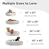 Best-Friends-by-Sheri-The-Original-Calming-Donut-Cat-and-Dog-Bed-in-Lux-Fur-Gray-Medium-30x30 Donut Dog Beds - Orthopedic, Calming, and Elevated