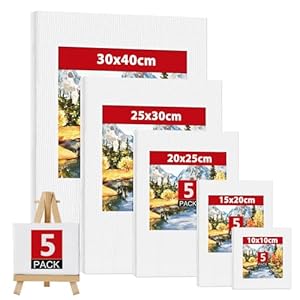 Hisdricus Leinwand 5er Set Keilrahmen