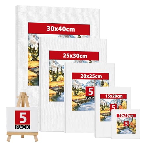 Set de 5 lienzos para pintar 100% Algodón, Lienzo Blanco 30x40, 25x30, 20x25, 15x20, 10x10 cm Canvas para Pintar para Niños, Artistas Aficionados a la Pintura al Óleo y Acrílico, Principiantes