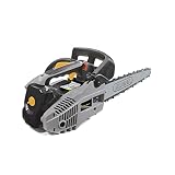 Alpina APR 25 C Benzin-Kettensäge, 25,4 cm³, 25 cm – Automatische Ölpumpe, Seitliche Kettenspannung – Ideal zum Beschneiden von Bäumen und Sträuchern