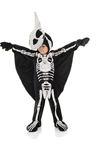 Underwraps Kids Pteradactyl Fossil Costume