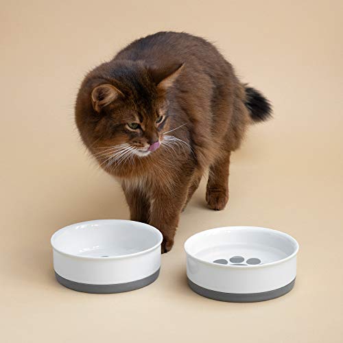 Navaris 2X Hundenapf Futternapf Fressnapf - Futterschüssel Napf Set für Hunde Katzen - Näpfe mit Silikon Boden - spülmaschinenfest rutschfest