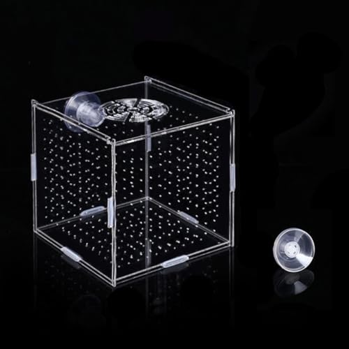 Acryl Fischzuchtbox, Acryl Isolationsbox Fischabscheider für Aquarium Aquarienfisch Zuchtbox Aufzuchtbecken Aquarium für Babyfische Garnelen Guppy (10x10x10cm)