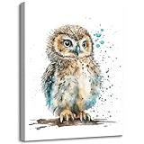 Loomarte Abstract Owl Canvas Wall Art Watercolor Animal Picture Prints Colorful Bird Portrait Artwrok Modern Giclee Wall Painting for Home Bedroom Kid's Room Decoration Funny Bird Decor 12x16 Inch