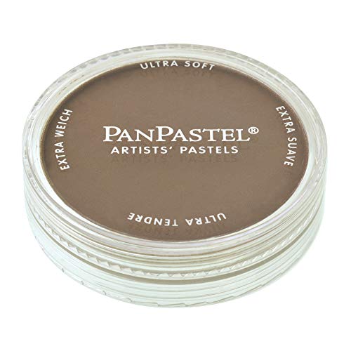 Panpastel 27805 Ultra Soft Artist Pastel, Raw Umber, 780.5 #TOP16