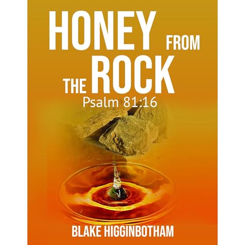 HONEY FROM THE ROCK Audiolibro Por Blake Higginbotham arte de portada
