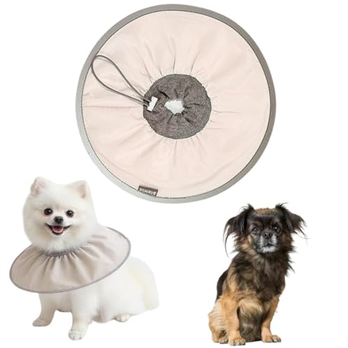 Lifetips�`�x�^���X�p�j�G���� �`�x�X�p���L���p �G���U�x�X�J���[ �h�� �\�t�g �y�� �p��P�A �����ی� �Ȃߖh�~ ���p ���E�ȒP �􂦂� �P�A�J���[(�R�R�A���e�j(M�j