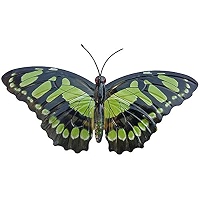 Grande Libellula Rossa E Verde Fotografia Stock - Immagine di fauna