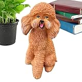 Photo Gallery shenrongtong statua cane | decorazione esterna animali figurine cane | scultura decorativa casa esterno per prato giardino sentiero | patio portico interno soggiorno compleanno Photo Gallery shenrongtong statua cane | decorazione esterna animali figurine cane | scultura decorativa casa esterno per prato giardino sentiero | patio portico interno soggiorno compleanno