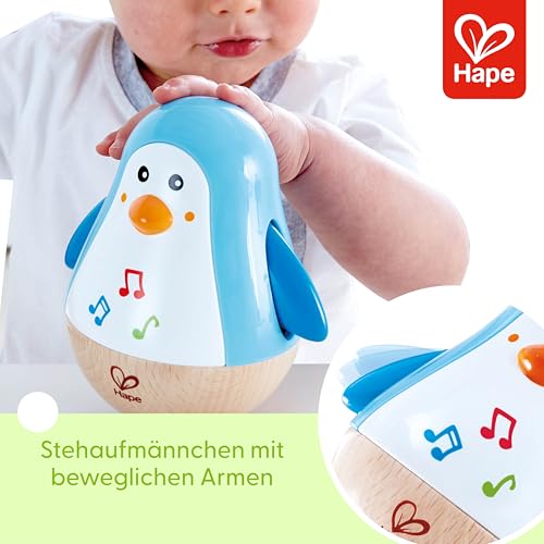 Amazon.com: Hape: 0-12 months