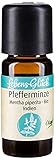 BIO PFEFFERMINZE (mentha piperita) - ätherisches Pfefferminzöl, 100% naturrein I strahlend minzig-frisch I für einen klaren Kopf I bei Müdigkeit I bei Erkältung I bei Übelkeit I Minzöl bei Kopfschmerzen I unterstützt das Entspannen I Minzöl BIO ätherisch - ein hilfreicher Begleiter