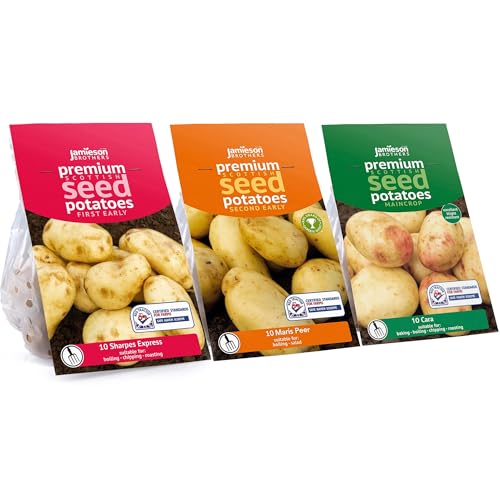 Jamieson Brothers Premium Scottish Seed Potatoes Bundle First Early Sharpes Express Second Early Maris Peer Maincrop Cara 10 Seeds Potatoes Each