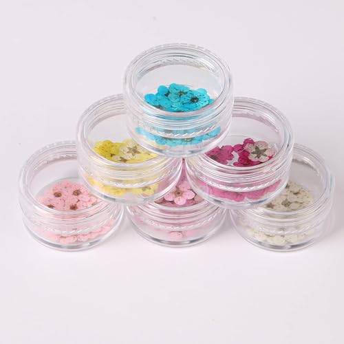 100 piezas flores secas narciso para arte en uñas miniatura 6