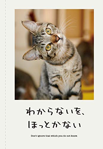 人生に行き詰まった時に読む本 人生はニャンとかなる の口コミは ぼく達の飼い主の ポジティぶろぐ