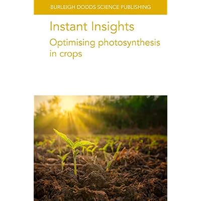 Instant Insights