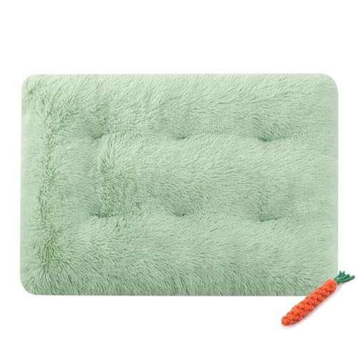 FANSU Cuscino per Cani Gatti, Autunno e Inverno Cuscino Cani Reversibile, Lavabile Materassino Cane, Cucce per Cani da Interno Caldo Morbida e Soffice Cuccie per Gatti (S-55X40CM,Verde Salvia)
