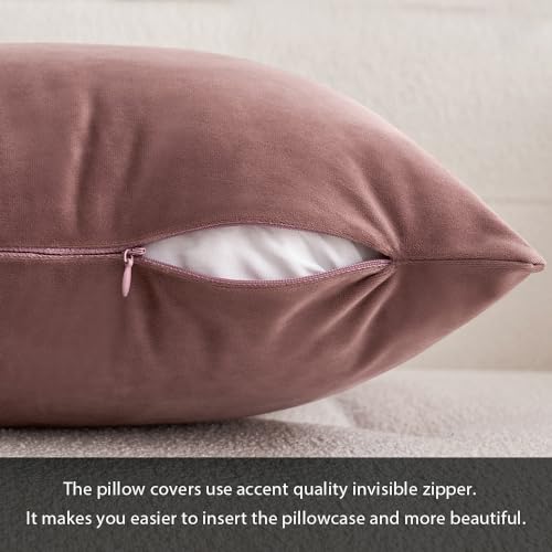 Image of MIULEE Pack of 2 Decorative Velvet Pillow Covers Soft Square Throw Pillow Covers Soild Cushion Covers Jam Pillow Cases for Sofa Bedroom Car 16 x 16 Inch 40 x 40 cm