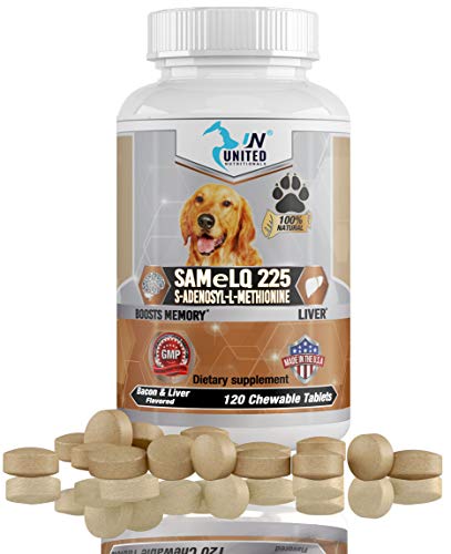 United Nutritionals - Same 225 for Dogs, S-Adenosyl-l-Methionine, Promotes Brain Support and Liver